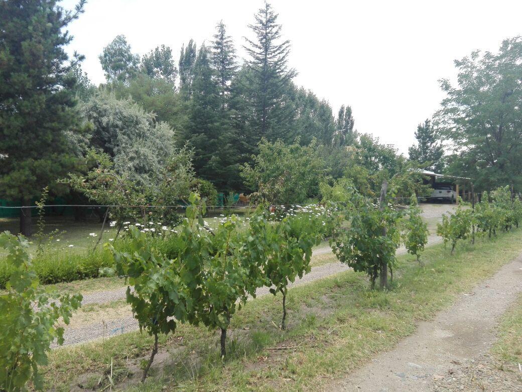 Casa Rural entre Bodegas y Viñedos ' El Jarillal La Consulta Exterior foto
